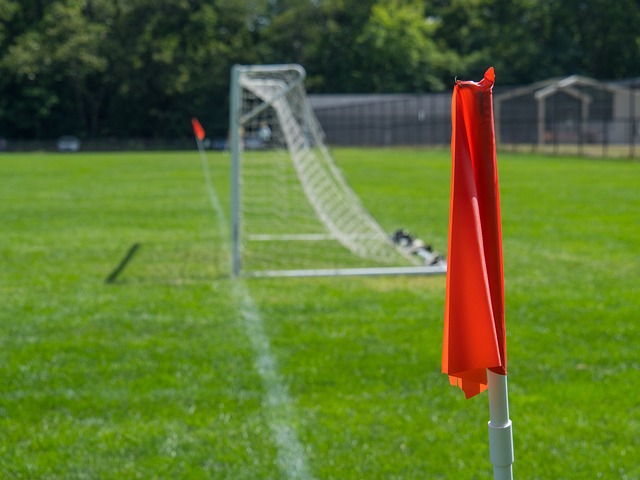 明星选手 明星选手