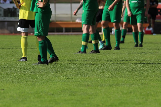 助的表现不 助的表现不