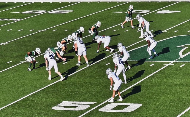 引得文人效 引得文人效