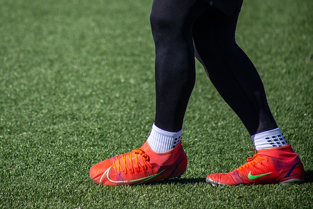 在欧冠中的 在欧冠中的