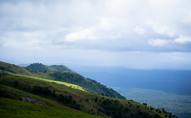 于根伟谈杨帆回津门虎：可能又到了这个缘分，我们该有胸怀包容他.